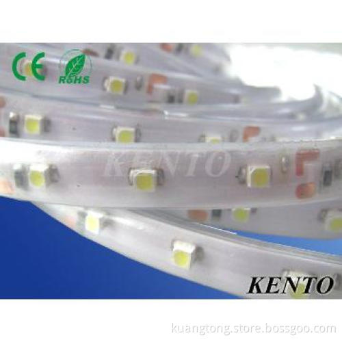 Strip Light 5050 SMD 30Leds 12V RGB(Non)Waterproof